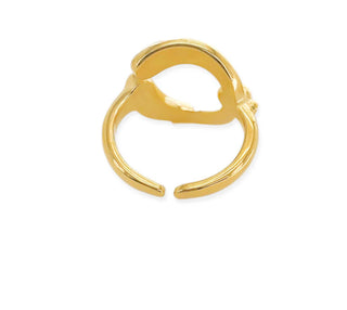 Anillo